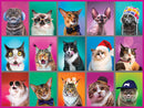 Puzzle: Cat Portraits