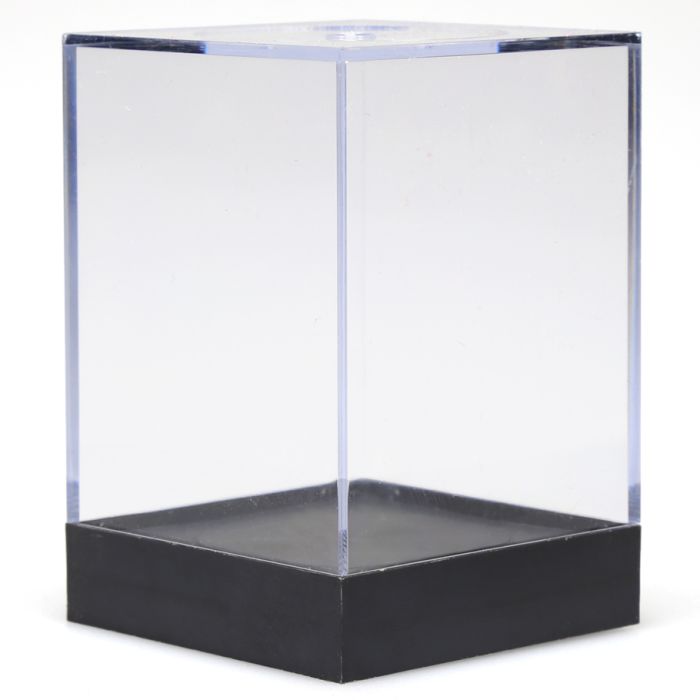 Supplies: Chessex Large Display Case