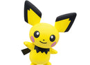 Pokemon: