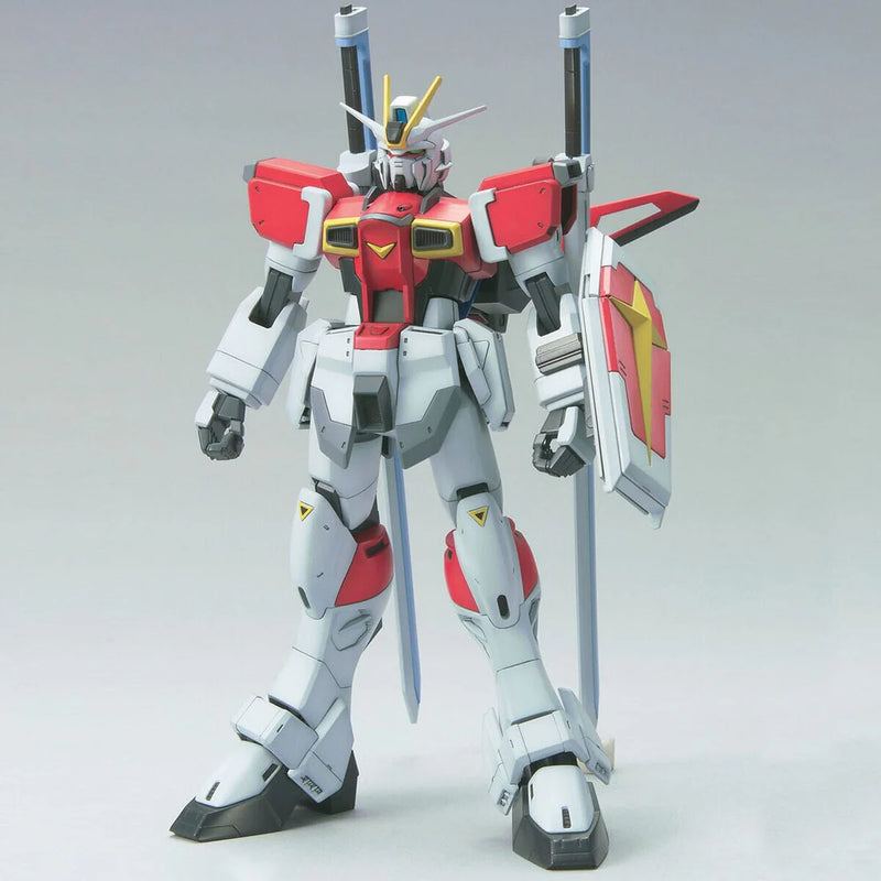 Gundam 1/100: