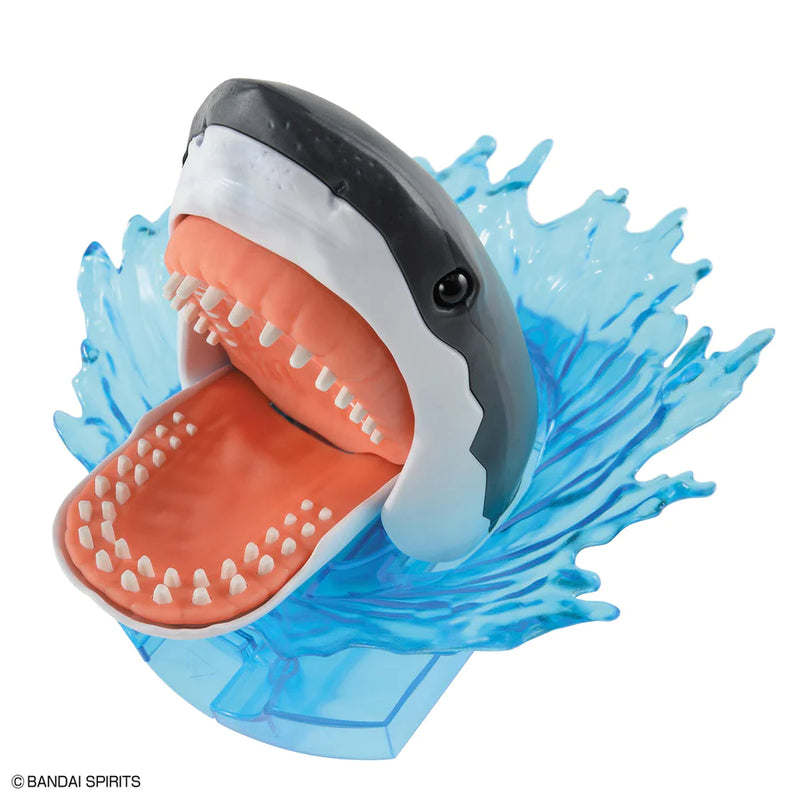 Other: Exploring Lab Nature - Great White Shark