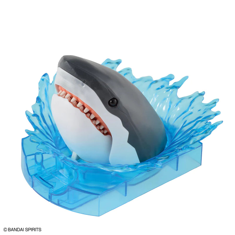 Other: Exploring Lab Nature - Great White Shark