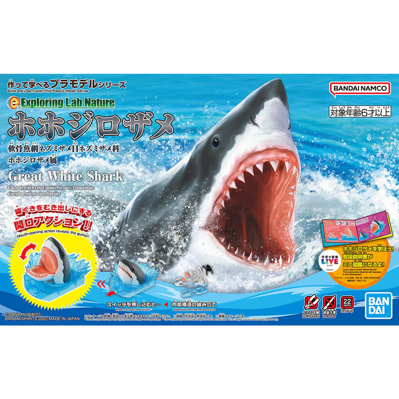 Other: Exploring Lab Nature - Great White Shark