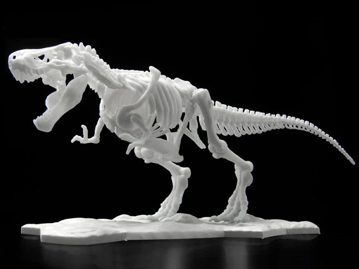 Other: Limex Skeleton Tyrannosauras