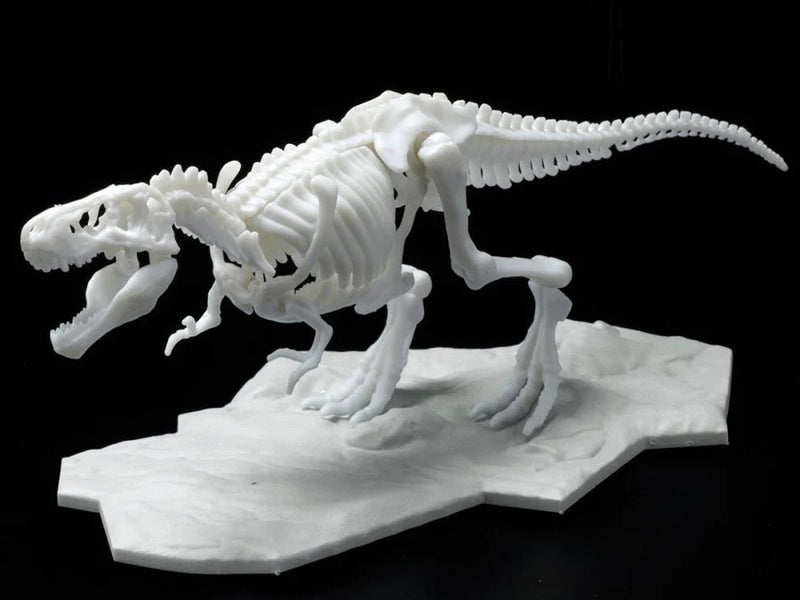 Other: Limex Skeleton Tyrannosauras