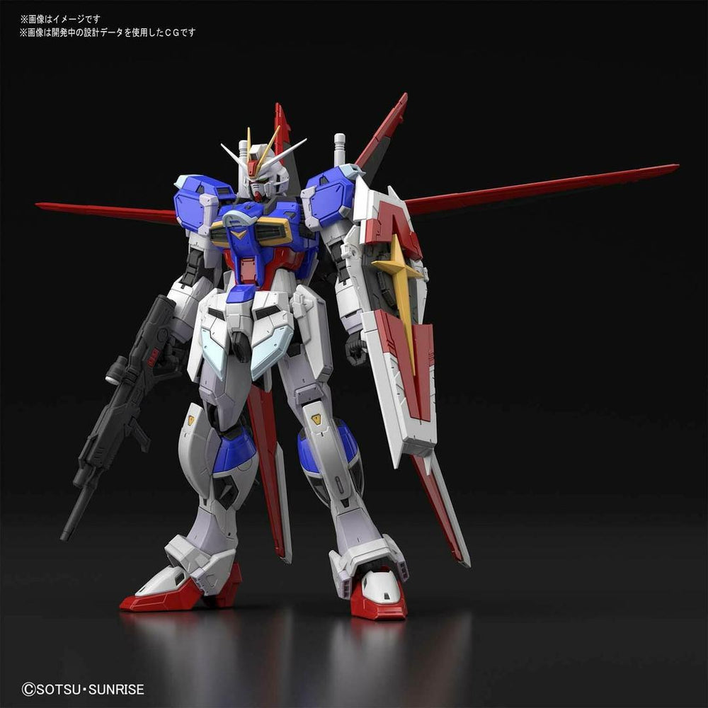 【新品未開封】BANDAI RG FOACE IMPULSE GUNDAM Bandai RG ZGMF-X56S/a IMPULSE Gundam Model SEED Genuine