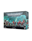 Warhammer 40K: Aeldari - Guardians