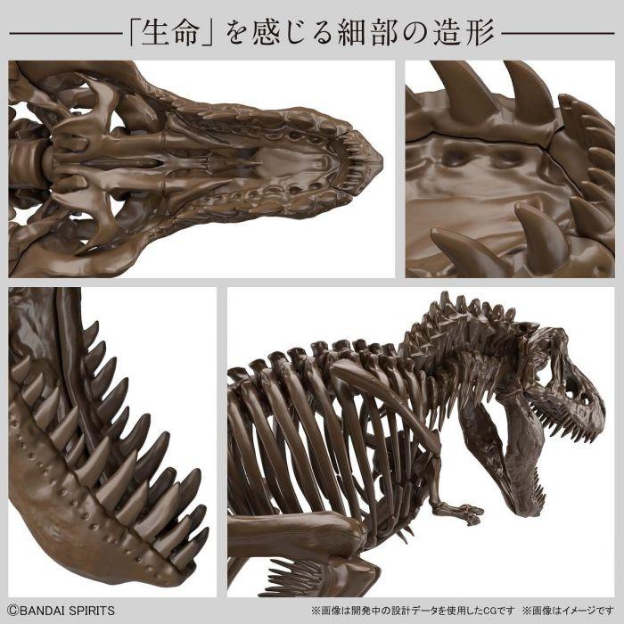 Other: Imaginary Skeleton Tyranosaurus Rex 1/32